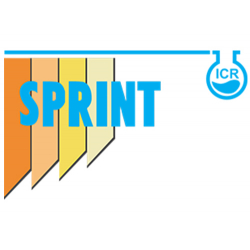 SPRINT ICR